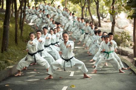 The picture shows a Karate group that uses Hikite during their techniques.
